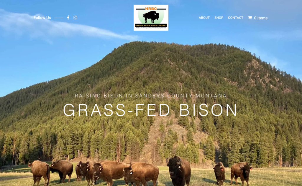Grass Fed Bison website screenshot